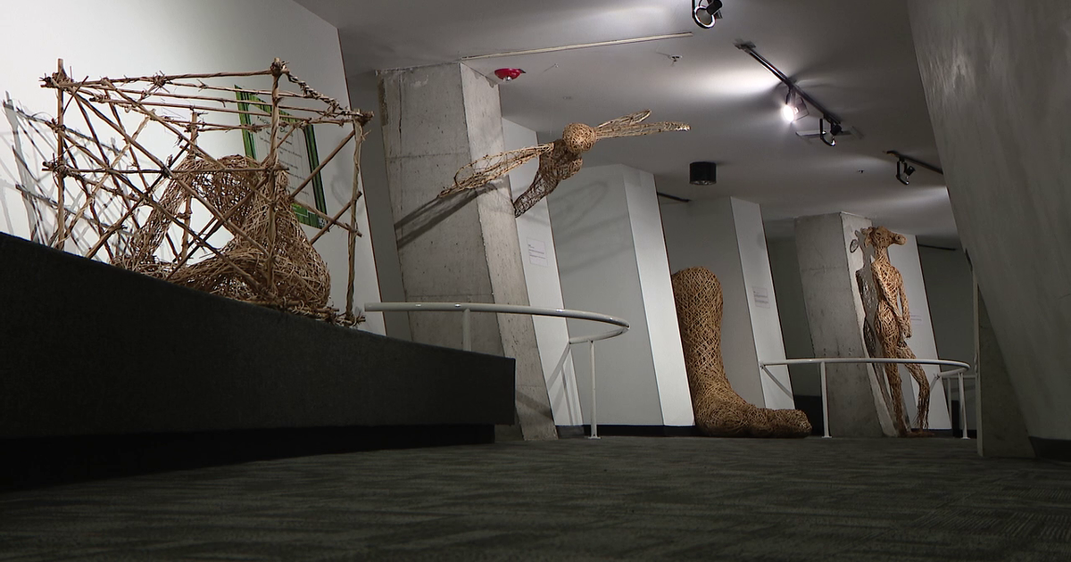 MOSI exhibition 'Dreaming in Bamboo' highlights blend of science and art