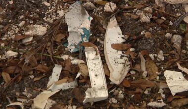 Construction materials illegally dumped next to St. Joe’s Creek in Pinellas County