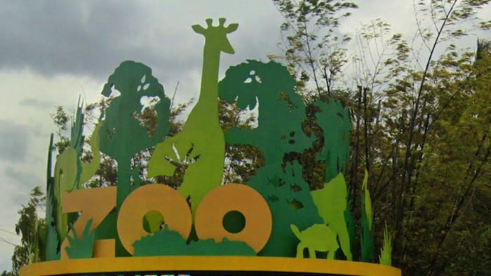 Zoo Miami closes after deputies confirm ‘swatting call’
