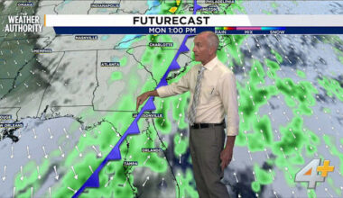 Pollen plumes and partly cloudy skies permeate our region