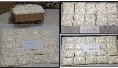 Miami man pleads guilty to smuggling “bath salts” from China