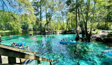 The 25 best springs and beaches in driving distance from Orlando
