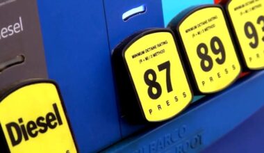 Fuel costs pinch lawn care budgets amid rising prices