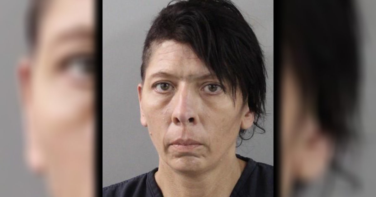Florida woman arrested after more than 30 malnourished dogs found on Mulberry property