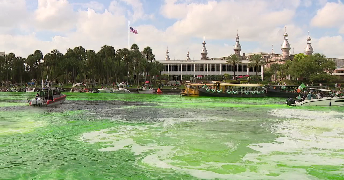 Tampa's River O'Green event turns Hillsborough River bright green as thousands celebrate