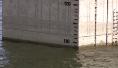 Florida's extreme drought continues: Tips on how to protect your plants