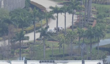 Landscapers find ‘partially submerged’ body in water near MIA, deputies say