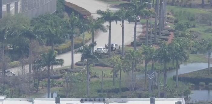Landscapers find ‘partially submerged’ body in water near MIA, deputies say