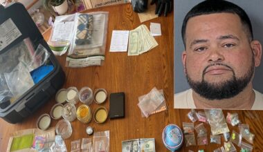 Tampa smoke shop owner accused of buying narcotics on dark web busted after overdose death: Sheriff