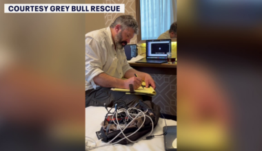 American families stranded in Israel turn to Grey Bull Rescue: 'The name of the game is speed'