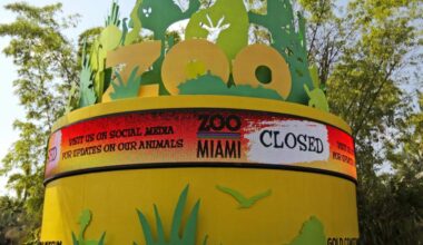 Zoo Miami has fourth bomb threat in four days: Sheriff