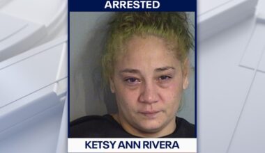 Florida woman accused of holding 10-year-old boy by shirt, telling other kids to hit him