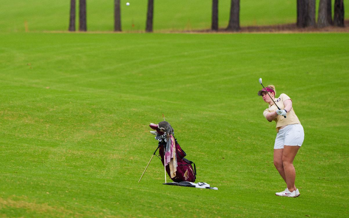 Florida State University Logo
