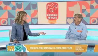 Keeping dogs safe when the temperature climbs