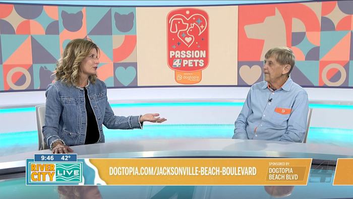 Keeping dogs safe when the temperature climbs