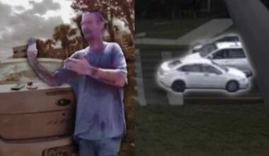 Central Florida man caught driving backward on Flagler County highway