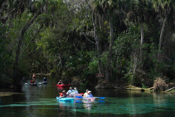 A guide leads kayakers on a tour of Silver Springs on Thursday, March 5, 2026, in Ocala, Fla. (AP Photo/Marta Lavandier)