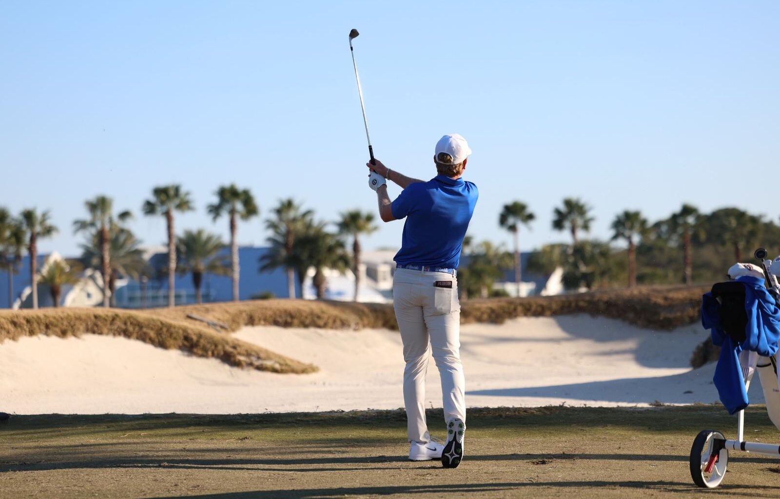 Loyola Marymount University Logo