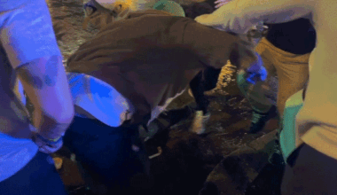 Spring breakers caught on camera beating man in Fort Lauderdale