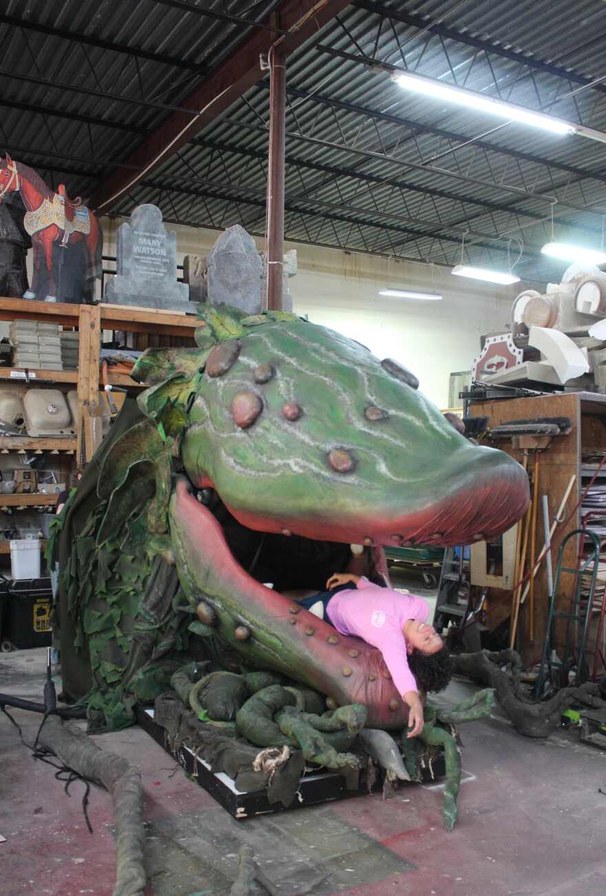 When it eats its namesake, Audrey II is full grown, with vines that span the length of the florist shop and two root-like arms it uses to grab Audrey.