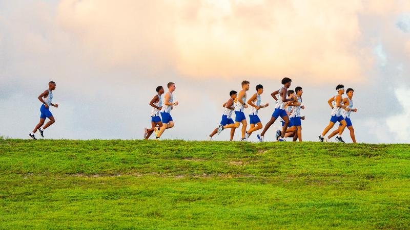 Distance runners head to Orlando for UCF Black & Gold Challenge