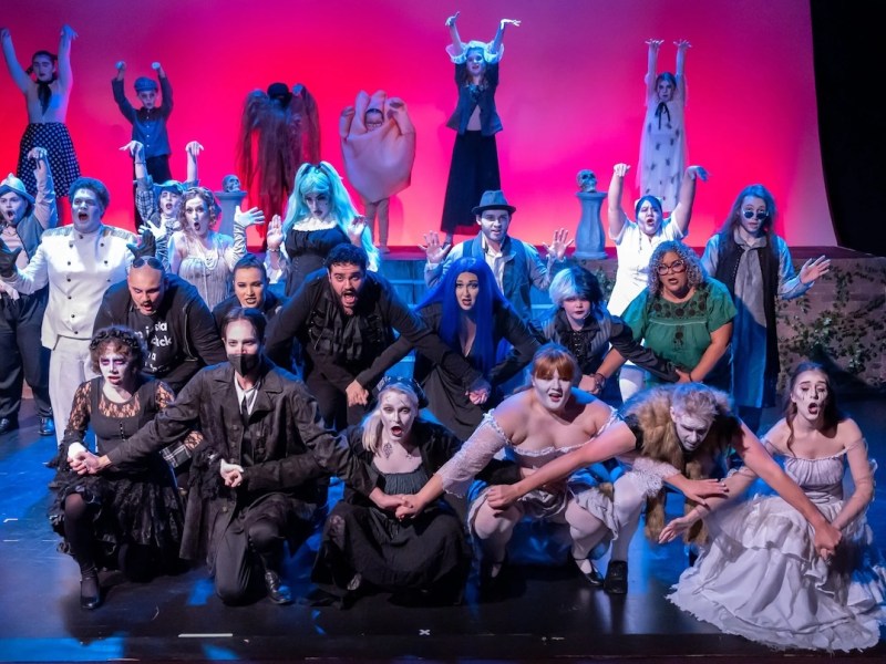 Another cheeky take on the Bard, ‘Something Rotten!’ comes to the Pugh Theater