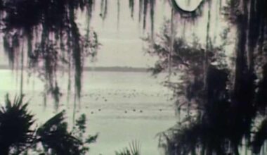 Ocklawaha restoration debate expected to continue as bill to restore river dies in Legislature