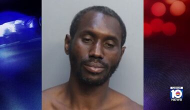 Miami police dog bites grand theft auto suspect trying to get away, records show