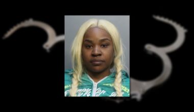 North Miami woman slips cuffs, escapes police cruiser ― but terrain was her downfall, cops say