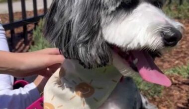 Inside new family-focused venue The Block Jax on city's Southside