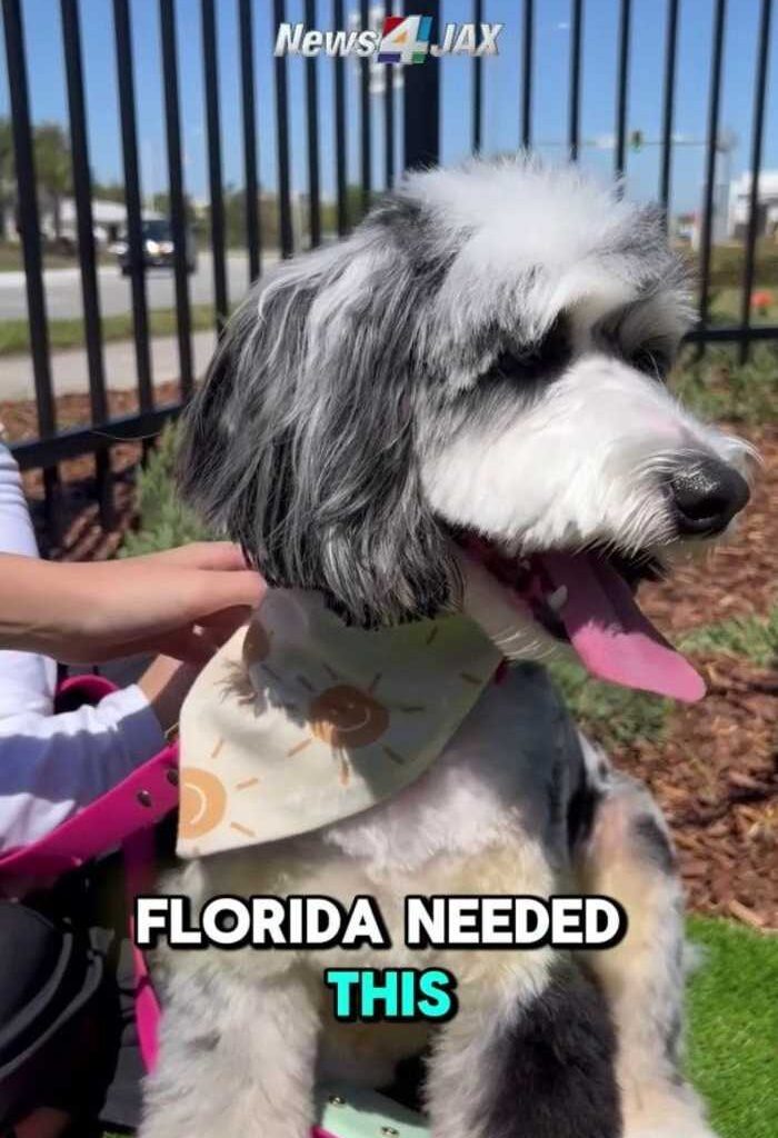 Inside new family-focused venue The Block Jax on city's Southside