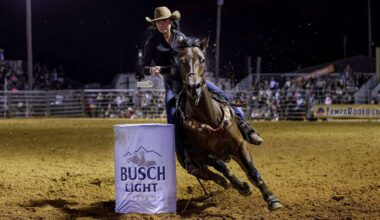 A person riding a horse