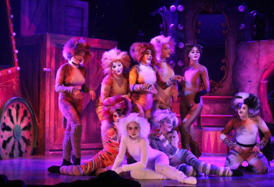 Scene from Broadway Palm Dinner Theatre's production of Andrew Lloyd Webber's 'CATS.'
