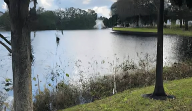 City to begin Bartlett Lake dredging initiative