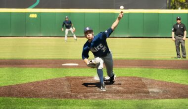 University of South Florida Logo
