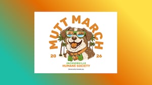 Yahoo lifestyle home