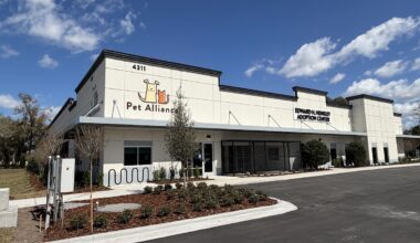 Pet Alliance of Greater Orlando finally opens new shelter this weekend