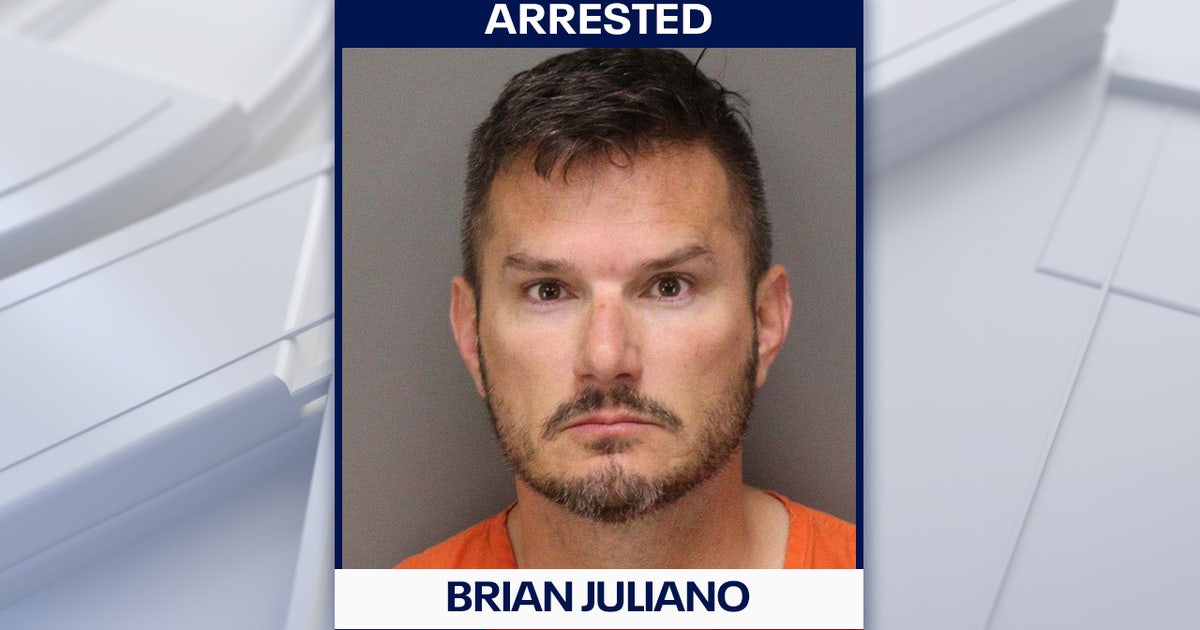 Hillsborough County deputy arrested for domestic violence: HCSO