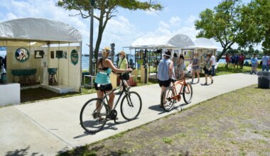 The 51st Mainsail Art Festival returns to Vinoy Park this weekend