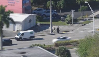 Broward detectives identify fatal hit-and-run victim