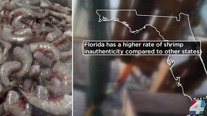 Study finds most ‘Mayport Shrimp’ dishes served in Jacksonville area are actually imported