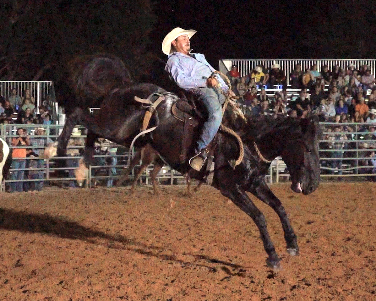 Tampa Bay Rodeo & Family Festival Gallops Into Hillsborough County Fairgrounds April 10 & 11