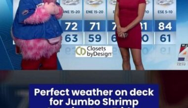 ⚾️ Opening Day + perfect weather = the ultimate Friday night in Jax