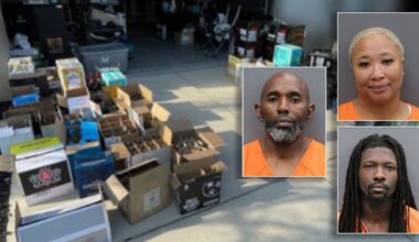 3 arrested in $75K high-end liquor theft ring targeting Tampa distributor: HCSO