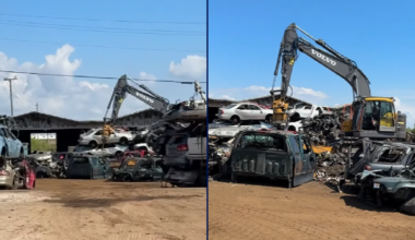 Search warrant at Florida scrap yard draws immigration rights activists; Man arrested on 5,000 counts