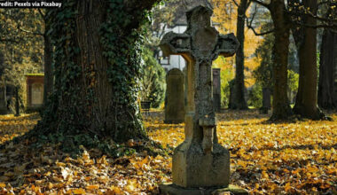 This disease is Florida’s biggest killer right now