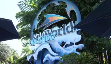 Justice Department sues SeaWorld parent company over wheeled walker ban