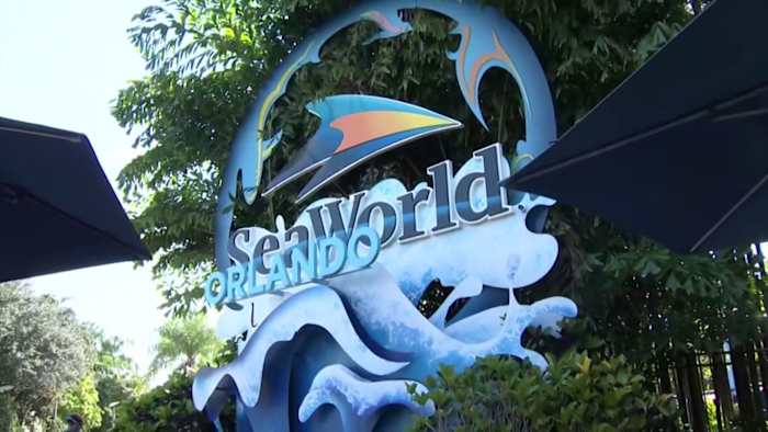 Justice Department sues SeaWorld parent company over wheeled walker ban