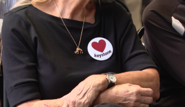 Attempt to develop land in Hillsborough County fails