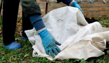 A freeze warning is in effect for Saturday morning for much of west-central Illinois ... on the heels of record-shattering high temperatures. Young plants should be covered to avoid being damaged by the freeze.